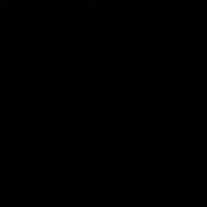 Meet your Posher, Irene